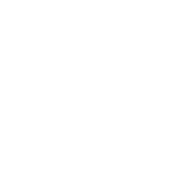 SIMÃO DO VALE AFRICANO